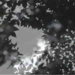 http://storage.lightizm.com/files/gimgs/th-76_71_Nostalgia2_v2.jpg